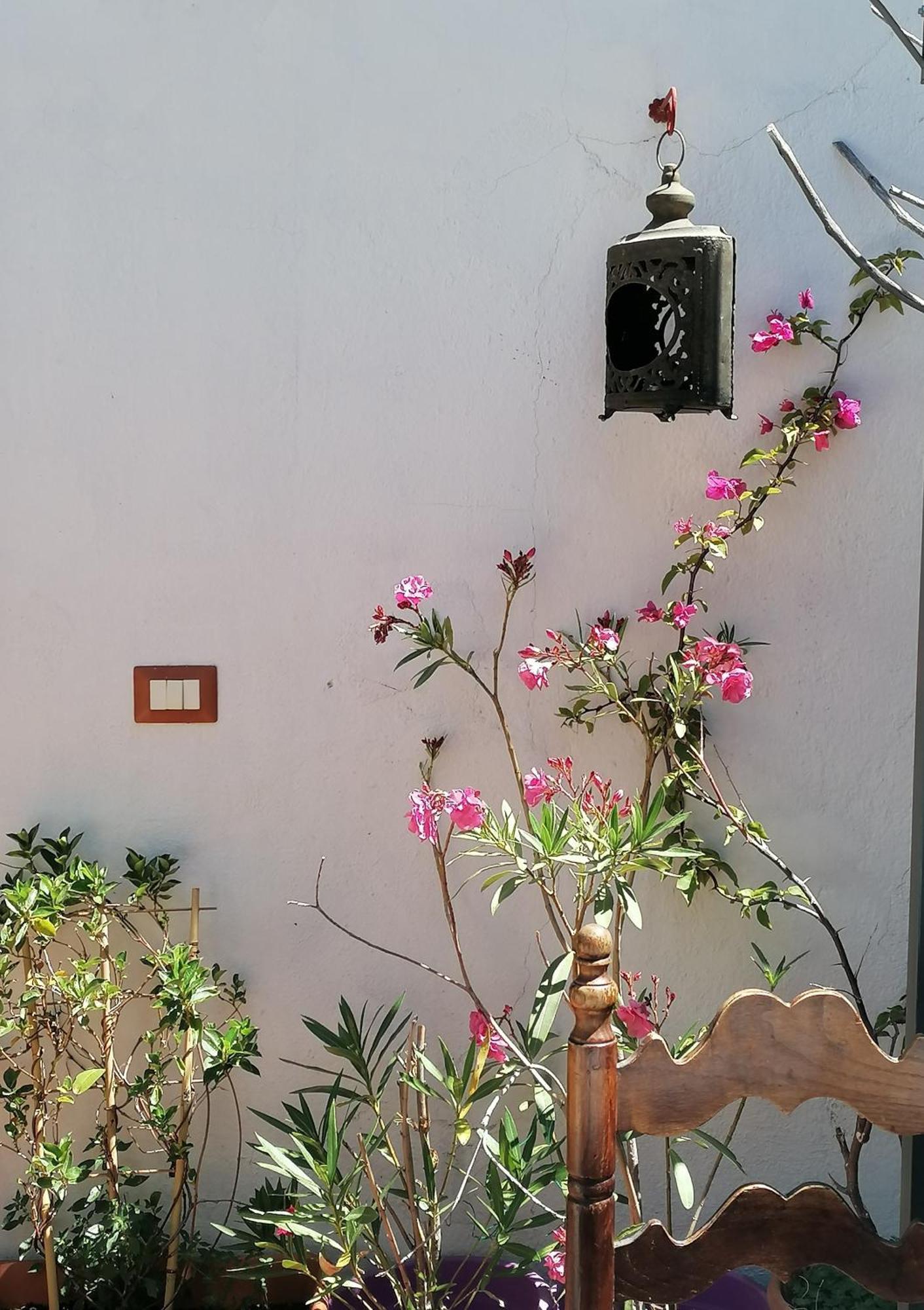 B&B Casacori Orosei Exterior photo